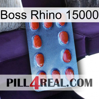 Boss Rhino 15000 06